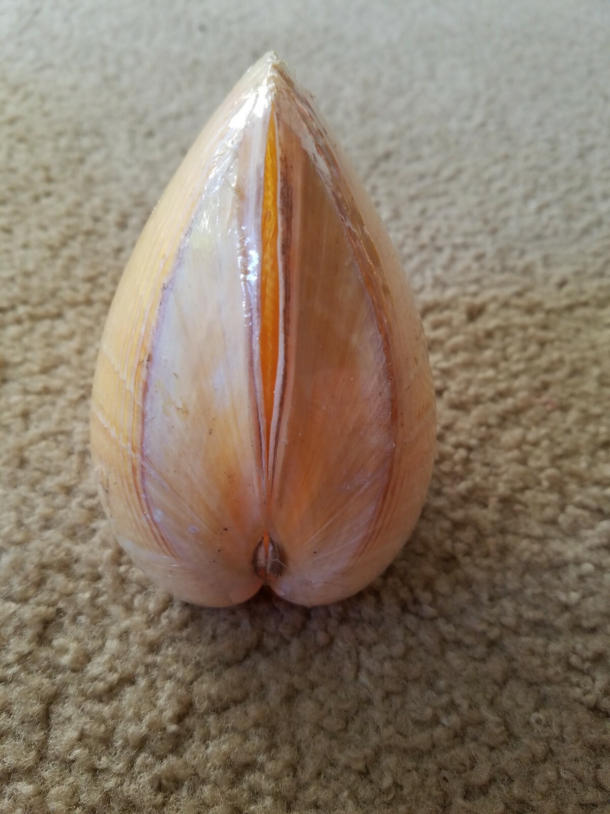Picture 3 of 5