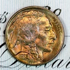 * 1923-P * SUPERB+ GEM BU MS BUFFALO NICKEL * FROM ORIGINAL COLLECTION