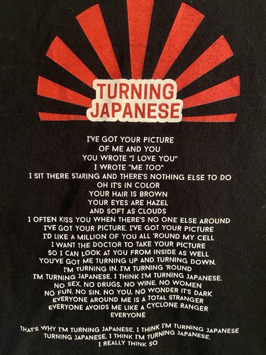 The Vapors - Turning Japanese - Lyric Tee, Size XL, exclusive, 70s, vintage - Bild 3 von 4