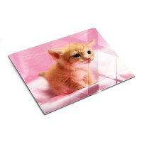Schneidebrett Aus Glas Modernes KüChenzubehöR GehäRtetes Glas KäTzchen 40X30 Cm