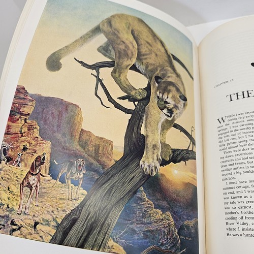 The Big Game Animals Of North America Illustrated 1961 Book Vintage- Read - Picture 16 of 24