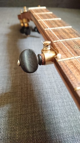 5 String Banjo Cherry Whyte Laydie Vega Style - Bild 9 von 11