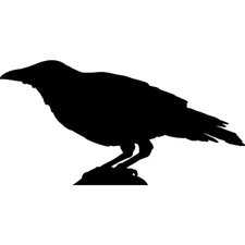 'Perched Crow Silhouette' Unmounted Rubber Stamp (RS038918)