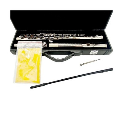 TEACHER APPROVED! Carolina Winds Intermediate Flute (cw401flt) Silver