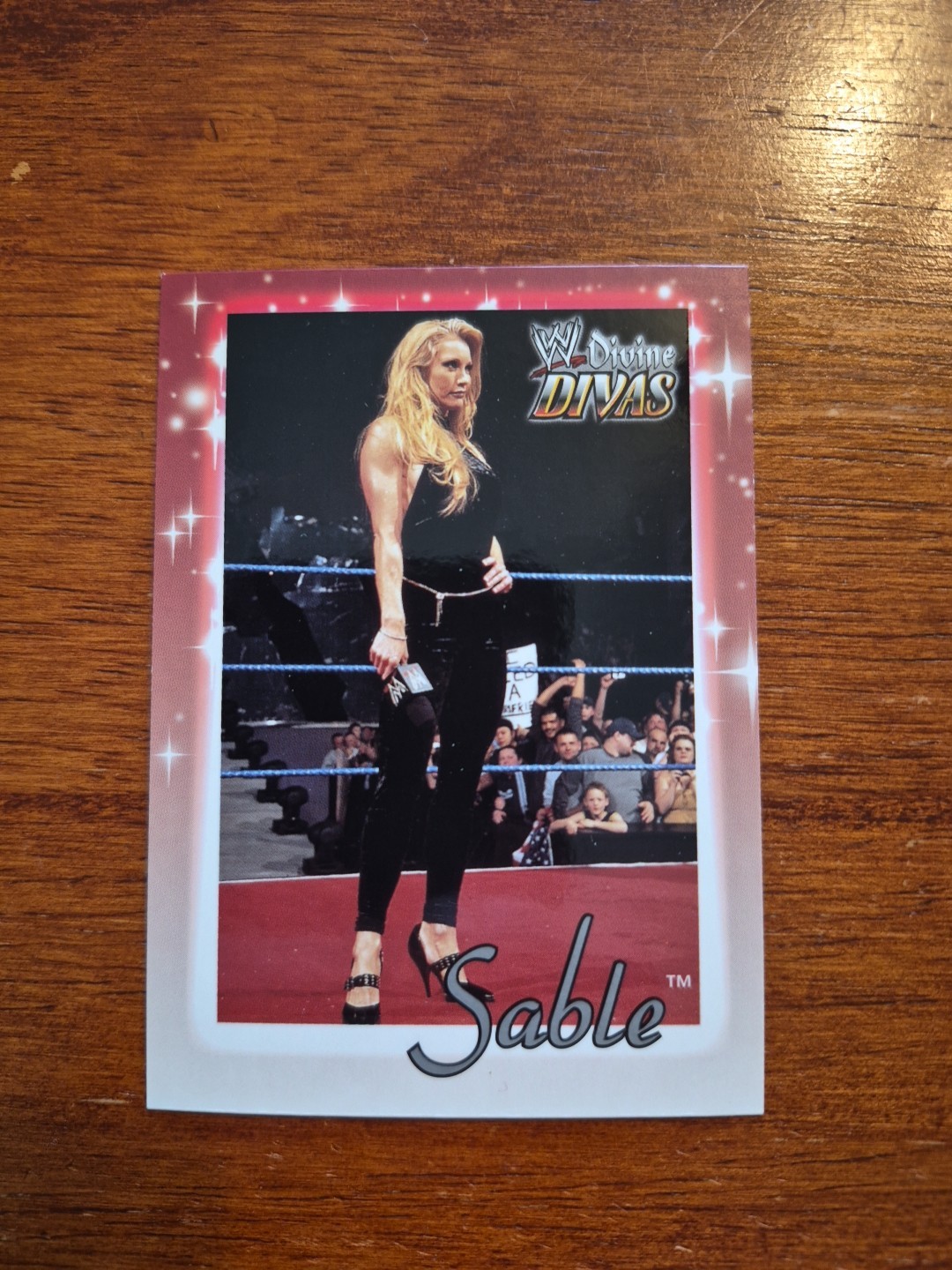 2003 Fleer WWE Sable Divine Divas #13 C009744