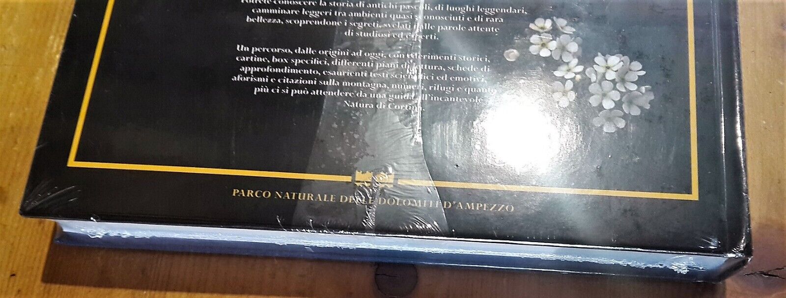 Foto 5 di 6