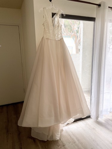 NWT ivory/champagne White Lace Sheer Wedding Gown - NWT - Size 12 - 第 7/12 張圖片