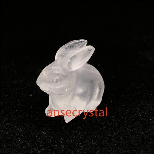 Natural Clear Quartz Carved Rabbit Quartz Crystal Skull Carving Reiki Healing - Picture 10 of 12
