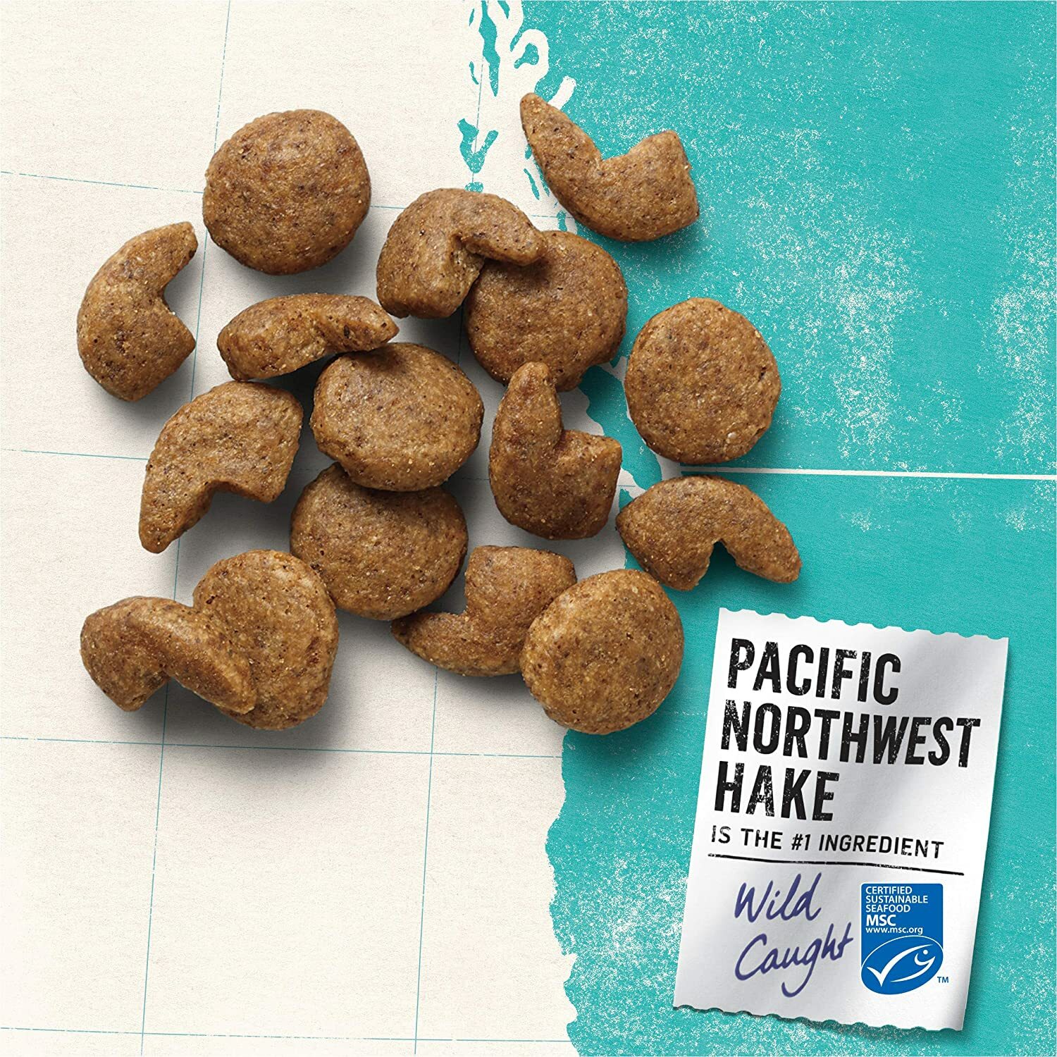Purina Beyond Pacific Northwest Hake Lentil Dry Dog Food 14 lb 6.36 kg USA