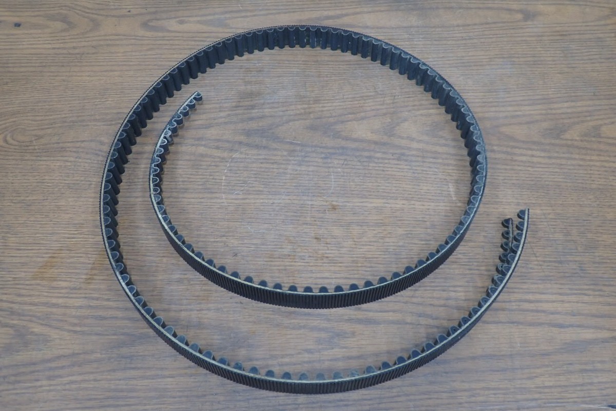 Harley-Davidson ベルト Amazon | Harley-Davidson ACCESSORY メンズ US サイズ: 32