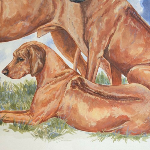 Stunning MARCIA VAN WOERT Original Signed Painting Rhodesian Ridgeback Dogs - Picture 7 of 8