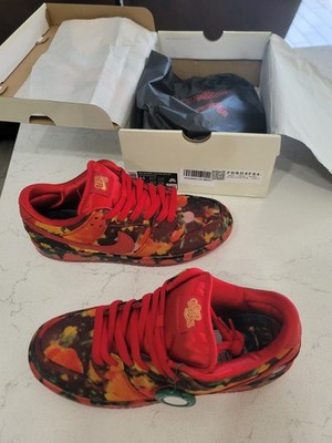 Mens 9.5 Nike SB Dunk low Pro Woo QS Gym Red Sneakers FZ1291 600 Wizard Of  Oz
