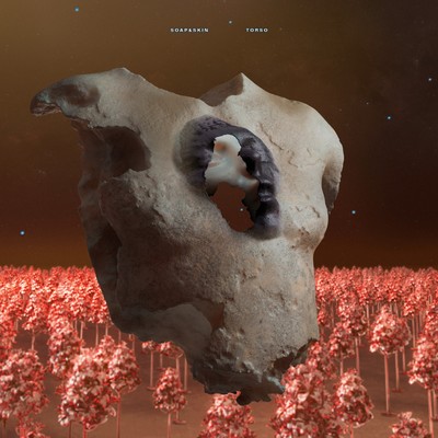 Soap & Skin TORSO (CD) Album