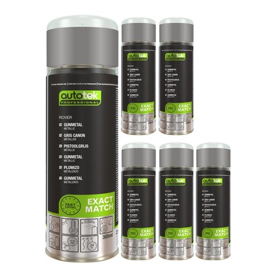 Autotek schnelltrocknender Aerosol-Sprühlack mit hoher Deckkraft Rover Rotguss 300 ml x6
