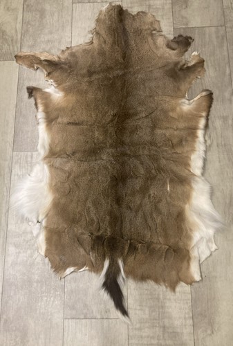 Whitetail Deer Skin Pelt Hide Rug 54”x28”Rustic Cabin Wall Hanging Or Rug
