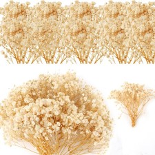 6500 White Dried Baby's Breath Flowers Bouquet, 100Pcs Mini Real Blue