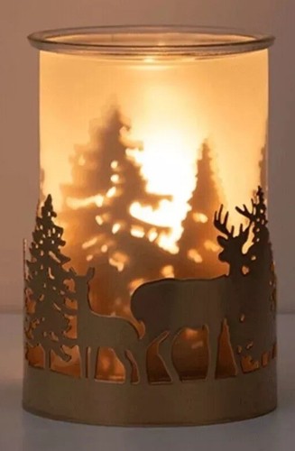 Scentsy Warmer Nature's Wonder BRAND NEW in box - Picture 5 of 5