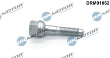 DRM01062 Dr.Motor Automotive Screw, injection nozzle holder for CITROËN,PEUGEOT
