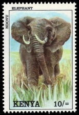 KENYA 570 - African Elephant "Loxodonta africana" (pa18924)