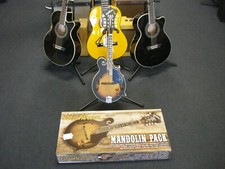 Washburn M3EK-A electric mandolin new