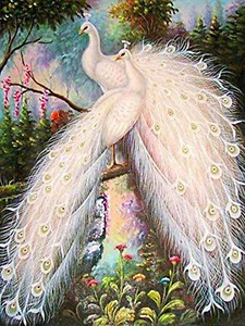 Full Drill Diamond Painting Animal White Peacock Fashion Decor Handicraft 6290x Ebay Full Drill Diamond Painting Animal White Peacock Fashion Decor Handicraft 6290x Ebay