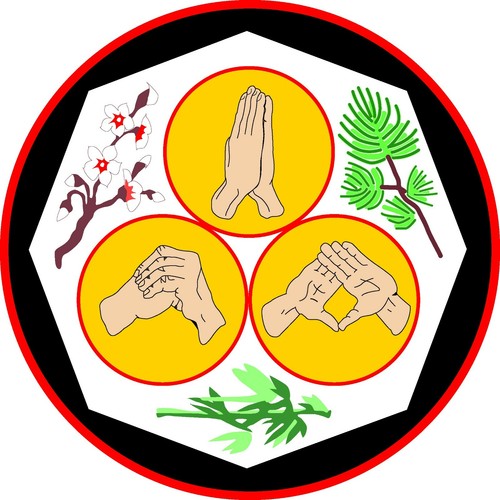NAI HAN SHI (CHI) KATAS #1-#3 (Tekki) FORMS DVD Hanshi Juchnik Kosho MITOSE - Picture 9 of 13