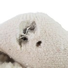 Bild 11 von 11