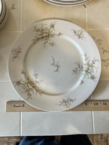 Jackson Featherweight China 6 Place Settings Moss Rose Vintage - Picture 18 of 18