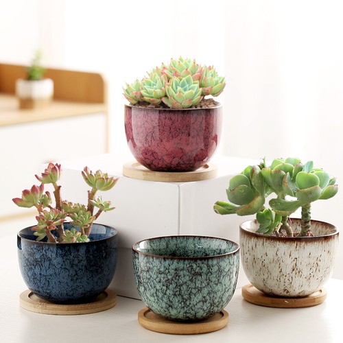 4 Psc Ceramic Plants Pots 3 Inch Flower Pots W/ Drainage& Bamboo Tray Breathable - 第 1/14 張圖片