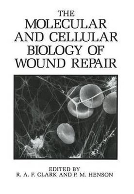 The Molecular and Cellular Biology of Wound Repair by R.a.F. Clark (English) Har
