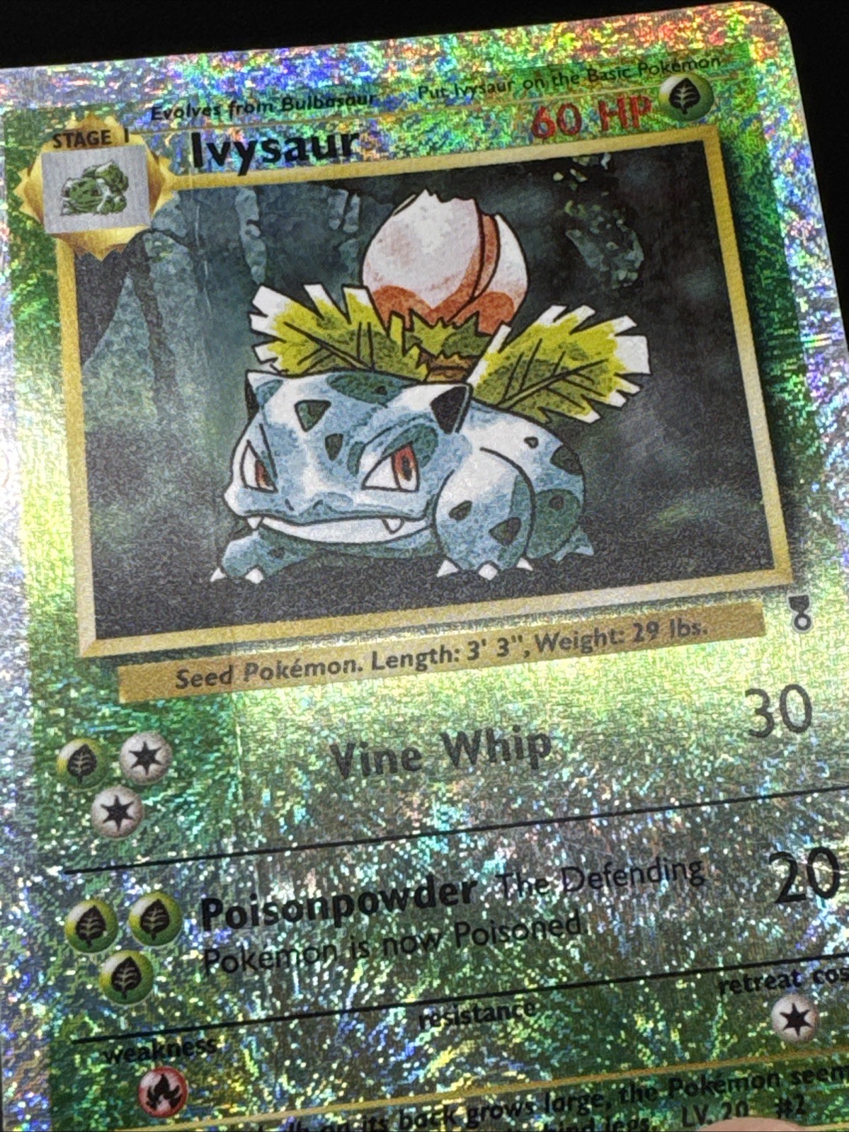 Picture 9 of 24