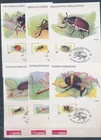 XE60215 Belgium 1996 beetles bugs insects maxicards used