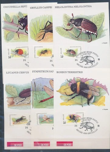 XE60215 Belgium 1996 beetles bugs insects maxicards used