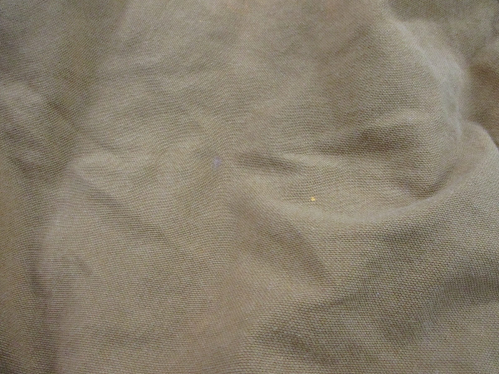 Picture 10 of 12