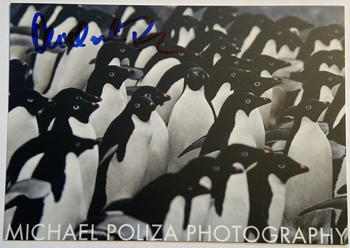 Michael Poliza signiert Karte Unterschrift Signatur Autogramm signed - 第 1/2 張圖片