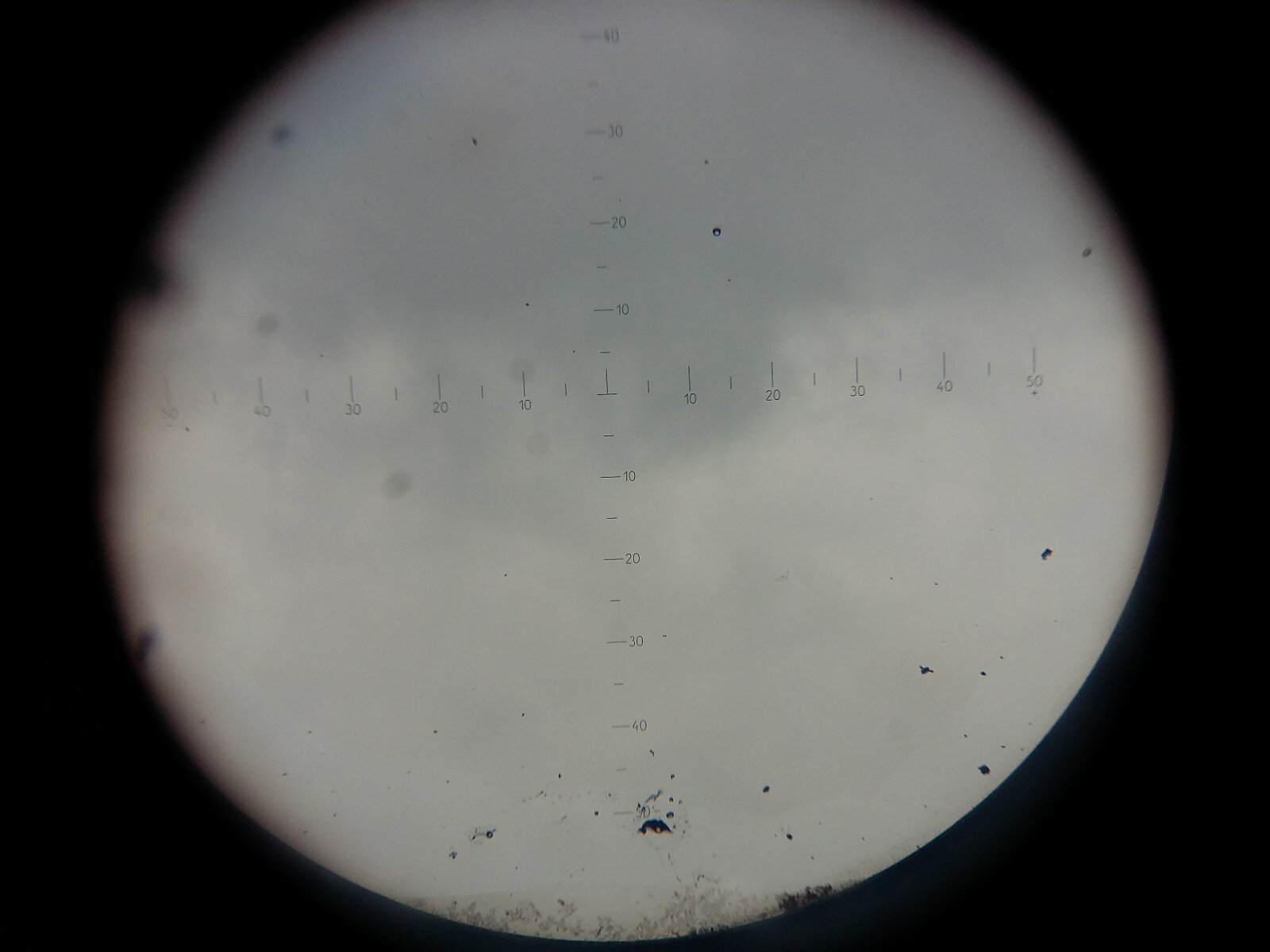 Foto 7 di 7