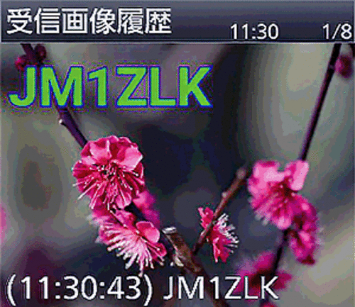 Icom ID-52 144/430MHz Dual Band 5W Digital Transceiver IPX7 Bluetooth GPS D-STER - Bild 11 von 12