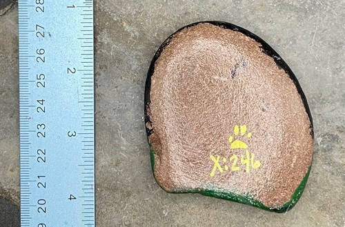 HAND PAINTED RIVER STONE ART Nature Scene by Yellow Paw Collectible Rocks - Bild 3 von 3