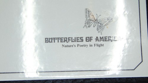 Álbum Butterflies of America 1977 colección primer día de emisión - Imagen 2 de 9