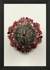 Bog Rosemary Bush Wreath Framed Wall Art Poster Canvas Print Picture