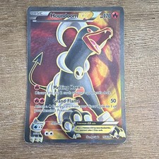 Houndoom EX 153/162 Breakthrough Full Art Holo Ultra Rare 170HP on eBay