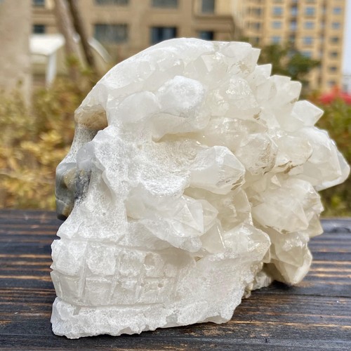 1.81LB Natural White Crystal Cluster Point Quartz Gemstone Carved Skull Healing - Picture 3 of 12