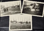 WEHRMACHT CAVALRY PARADE GATHERING HORSES WW2 WWII German Military photo