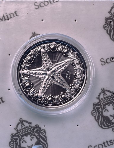 Montserrat 2 $ 2024 EC8 Starfish 1 Oz Silber Proof Like auf Cardboard - Bild 6 von 9