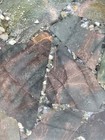 Bild 16 von 19