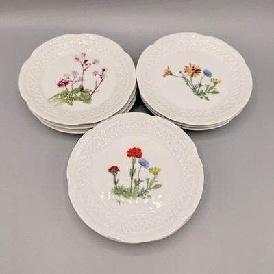 L. Lourioux Berry Limoges France Botanical Wildflower Porcelain Plates Set