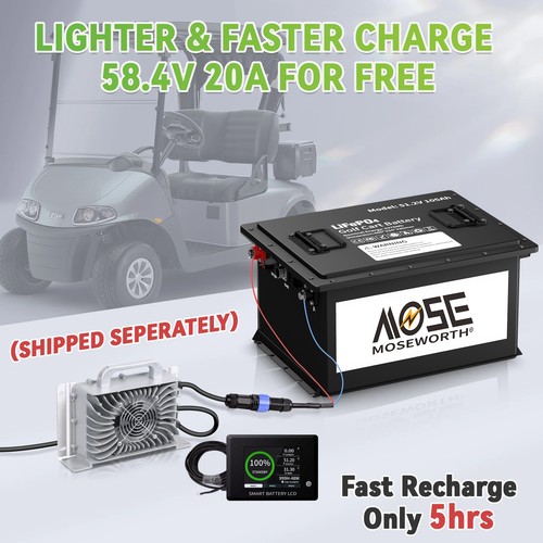Batería LiFePO4 12V 24V 25Ah 50Ah 100Ah 200Ah 300Ah Batería Litio BMS RV Solar - Imagen 109 de 131