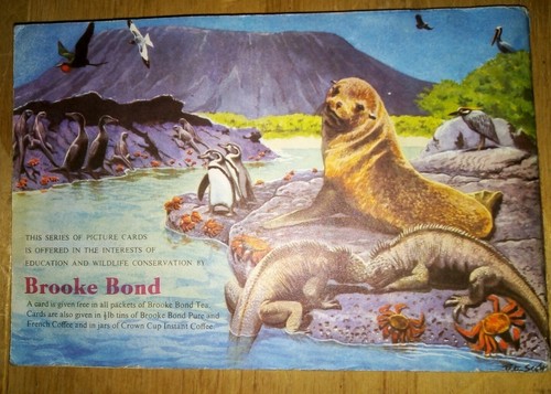 Wildlife in Danger - Brooke Bond Album and Cards (by Peter Scott 1963). - Picture 2 of 3