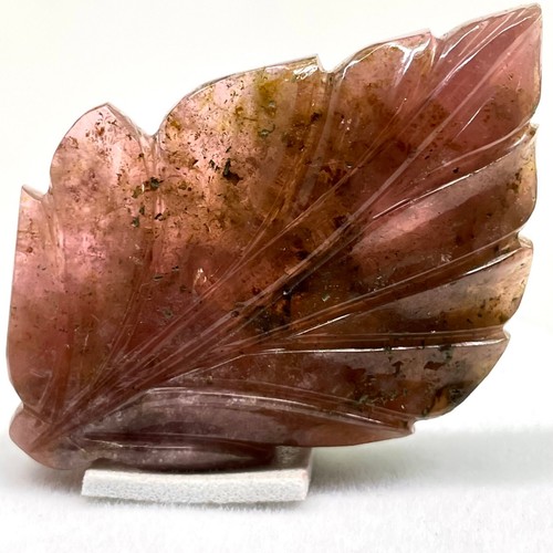 104 Cts Certified Natural Carved Tourmaline Leaf 55x39mm Bi Color Loose Gemstone - Picture 4 of 14