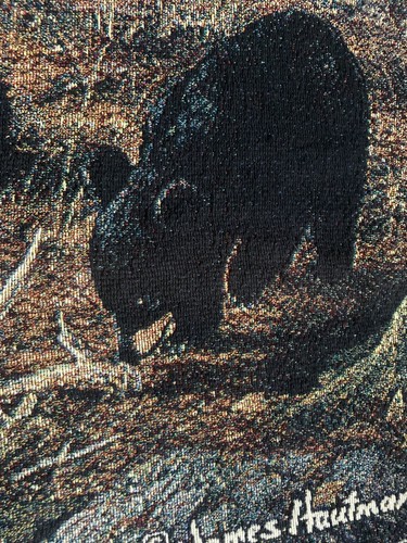 Yellowstone Bear & Cubs Tapestry Cabin Decor Animal Outdoors 62x48 W Fringe VTG - Picture 6 of 12